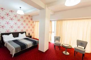 Отель Hotel Corona Дробета-Турну- Севери Стандартный двухместный номер с 1 кроватью-1