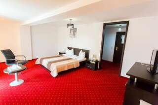 Отель Hotel Corona Дробета-Турну- Севери Стандартный двухместный номер с 1 кроватью-8