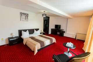 Отель Hotel Corona Дробета-Турну- Севери Стандартный двухместный номер с 1 кроватью-13