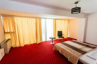 Отель Hotel Corona Дробета-Турну- Севери Стандартный двухместный номер с 1 кроватью-14